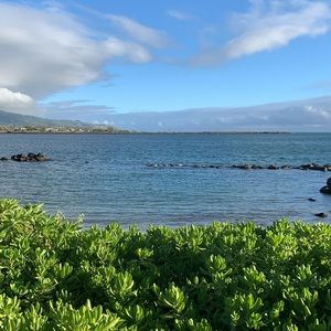 Meet your Posher, Stephen